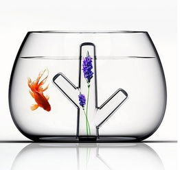 创意桌面鱼缸 办公桌上的灵动风景，为生活增添一抹治愈乐趣